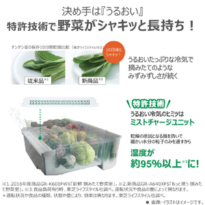 東芝 【フレンチドア】643L 6ドア 冷凍冷蔵庫 VEGETA フロストグレージュ GR-A640XFS(TH)-イメージ5