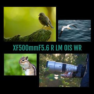 富士フイルム 望遠単焦点レンズ フジノンレンズ XF500mmF5.6 R LM OIS WR ホワイト FXF500MMF56RLMOISWR-イメージ12