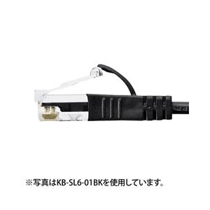 サンワサプライ カテゴリ6準拠極細LANケーブル(2m) ライトグレー KB-SL6-02-イメージ2