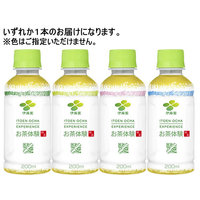 伊藤園 お茶体験 200mL F385693-62067