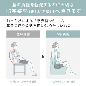 MTG Style Dr.CHAIR/スタイルドクターチェア Style ブラウン ST-DC2039F-B-イメージ2
