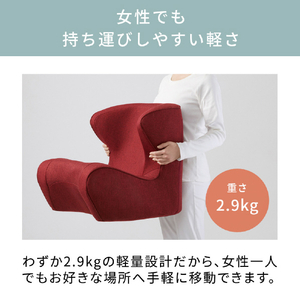 MTG Style Dr.CHAIR/スタイルドクターチェア Style ブラウン ST-DC2039F-B-イメージ6