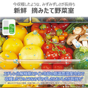 東芝 【フレンチドア】462L 6ドア冷蔵庫 VEGETA グランホワイト GR-A460FK(EW)-イメージ4