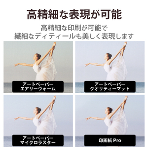 エレコム 写真用紙 印画紙Pro 厚手 A4サイズ 20枚 ホワイト EJK-PROA420-イメージ4