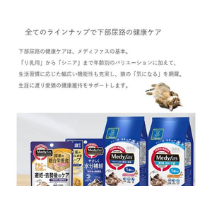 ペットライン メディファス ウェット 子ねこ12か月まで まぐろと若鶏ささみ 50g FCB5423-イメージ3