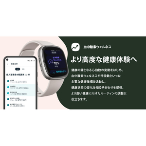 Fitbit スマートウォッチ L/Sサイズ Sense 2 Blue Mist/Pale Gold FB521GLBM-FRCJK-イメージ11