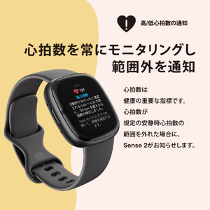 Fitbit スマートウォッチ L/Sサイズ Sense 2 Blue Mist/Pale Gold FB521GLBM-FRCJK-イメージ4
