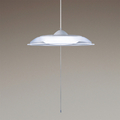 パナソニック LEDペンダント パルックLED HH-PH0840D