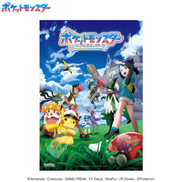 エンスカイ ポケットモンスター  300-3176 メガ新しい冒険へ!(2) AT3003176ﾒｶﾞｱﾀﾗｼｲﾎﾞｳｹﾝﾍ2