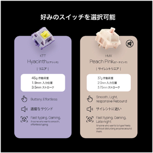 Mistel Barocco Mistel MD770PRO US (英語配列/HMX PEACH PINK軸) 静音リニア (HM/PP)HMX Peach Pink軸 ML-MD770PRO-US-HM/PP-イメージ12