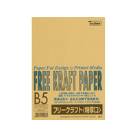 SAKAEテクニカルペーパー SAKAETP/フリークラフトペーパー 特厚口 B5 ライトブラウン 50枚×5冊 FC48278-FKB-B5-LB