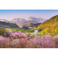 アップルワン 春茜 月山と大山桜 AP1000910ｶﾞﾂｻﾝﾄｵｵﾔﾏｻｸﾗ