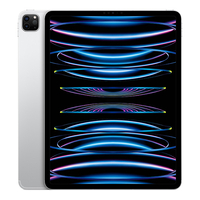 Apple 12.9インチiPad Pro Wi-Fi + Cellular 1TB シルバー MP253J/A