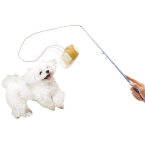 ドギーマンハヤシ じゃれワンワン! ふわふわサカナ ｼﾞﾔﾚﾜﾝﾜﾝﾌﾜﾌﾜｻｶﾅ-イメージ4