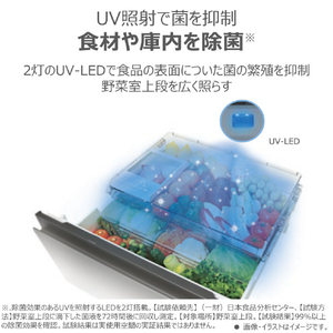 東芝 【フレンチドア】551L 冷凍冷蔵庫 アッシュグレージュ GR-A550FZ(ZH)-イメージ16