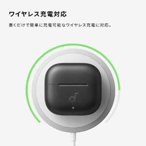 Anker Soundcore P42i ブラック D1205N11-イメージ10
