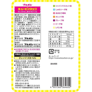ブルボン キュービィロップ 100g FCD813Y-イメージ2