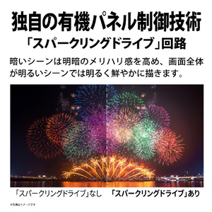 シャープ 48V型4Kチューナー内蔵有機ELテレビ AQUOS OLED 4T-C48GQ2-イメージ4