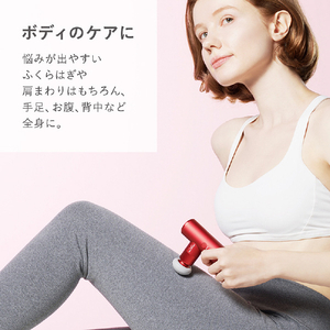 SIXPAD SIXPAD パワーガン ポケット / Power Gun Pocket シルバー SEBP15A-イメージ3