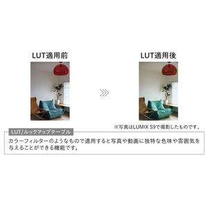 パナソニック フルサイズミラーレス一眼カメラ/広角ズームレンズキット LUMIX ダークシルバー DC-S9N-S-イメージ16