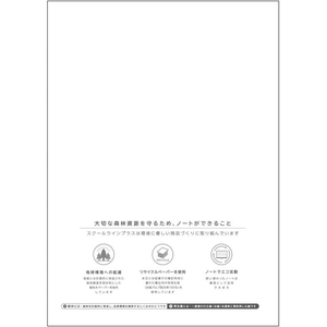 キョクトウ スクールラインプラス 10mm方眼罫 セミB530枚ブルー FC637TG-LSP10B-イメージ3