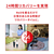 ReD バイタルテック スリープ ショートパンツ M グレー VW-AR-14B-M-イメージ4