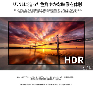 JAPANNEXT 43インチ 液晶ディスプレイ ブラック JN-IPS43U-イメージ6