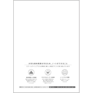 キョクトウ スクールラインプラス ヨコ罫22行 セミB5 30枚 FC645TG-LSP22Y-イメージ3
